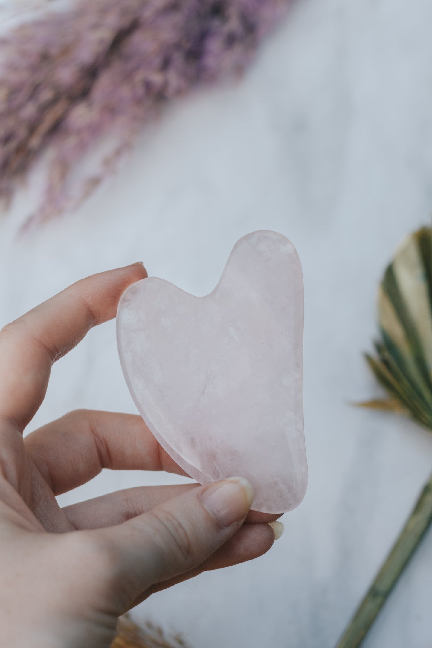 Rose Quartz Crystal Gua Sha with Black Skull Pouch